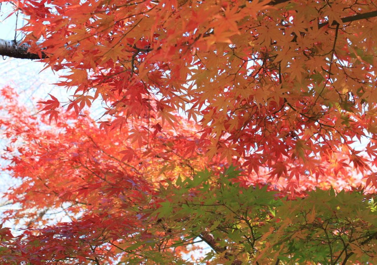 Rakuzan Yasuda Otel Izunokuni Dış mekan fotoğraf